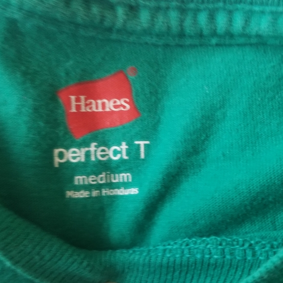 Hanes T-Shirts | Lot of 3 | Jewel Tones | Solid Colors | Medium | Basic - Picture 7 of 8